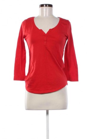 Damen Shirt Terranova, Größe M, Farbe Rot, Preis € 9,72
