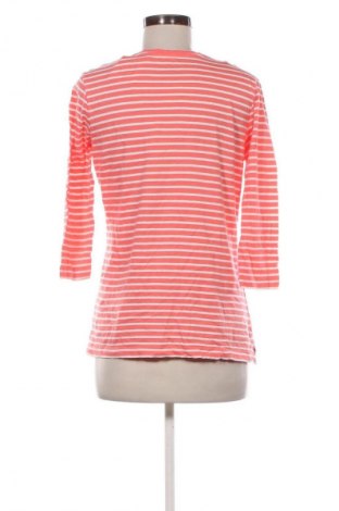 Damen Shirt Via Appia, Größe M, Farbe Mehrfarbig, Preis 23,99 €