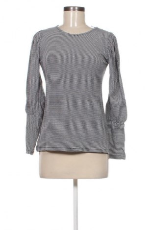 Damen Shirt Warehouse, Größe S, Farbe Mehrfarbig, Preis 17,38 €