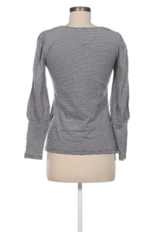 Damen Shirt Warehouse, Größe S, Farbe Mehrfarbig, Preis 17,38 €