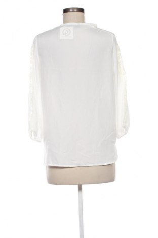 Dámská halenka Wearhouse, Velikost S, Barva Vícebarevné, Cena  229,00 Kč