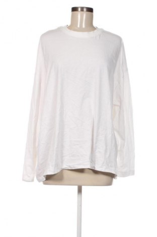 Damen Shirt Zara, Größe M, Farbe Weiß, Preis 7,99 €
