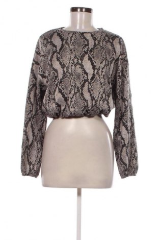 Damen Shirt Zara, Größe S, Farbe Mehrfarbig, Preis € 18,99