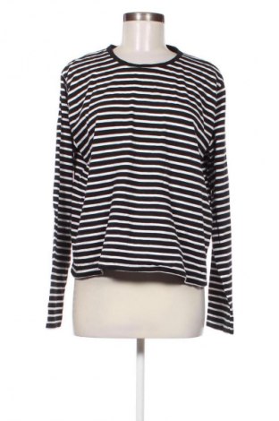 Damen Shirt Zeeman, Größe XL, Farbe Mehrfarbig, Preis 9,72 €