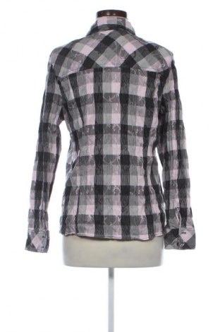 Damenbluse Bonita, Größe L, Farbe Mehrfarbig, Preis € 17,99
