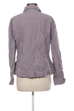 Damenbluse Brax, Größe XL, Farbe Mehrfarbig, Preis 37,99 €