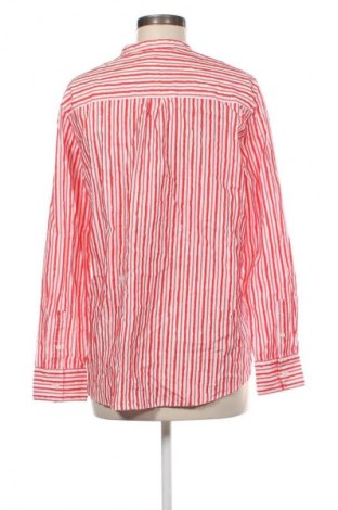 Damenbluse Brax, Größe M, Farbe Mehrfarbig, Preis € 34,99
