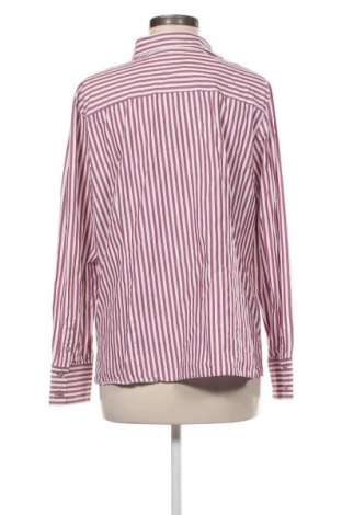 Damenbluse Erfo, Größe XL, Farbe Mehrfarbig, Preis € 21,00