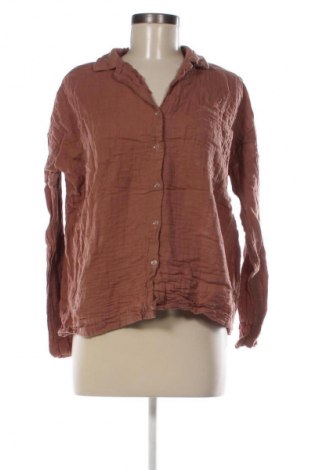 Damenbluse Zara, Größe M, Farbe Braun, Preis € 18,99