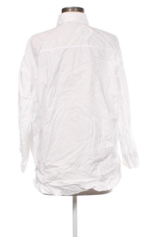 Damenbluse Zara, Größe L, Farbe Weiß, Preis 18,99 €