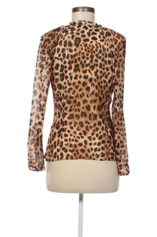 Damenbluse Zara, Größe S, Farbe Mehrfarbig, Preis 18,99 €
