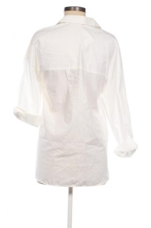Damenbluse Zara, Größe XS, Farbe Ecru, Preis 25,23 €
