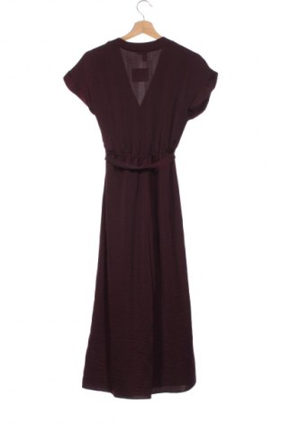 Langer Damen-Overall New Look, Größe XS, Farbe Lila, Preis € 19,99