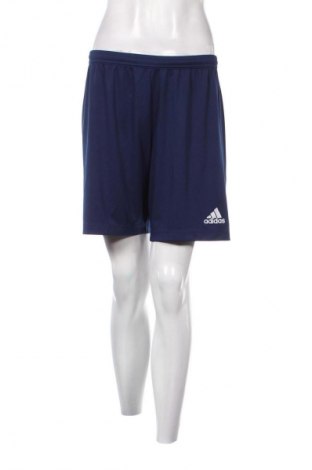 Damen Shorts Adidas, Größe M, Farbe Blau, Preis € 16,16
