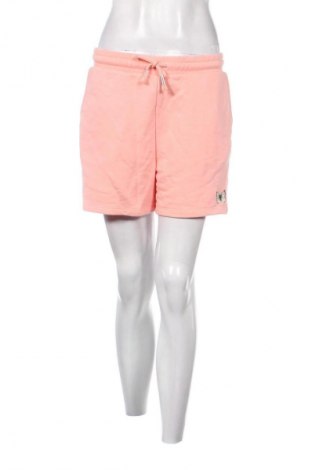 Damen Shorts Loft, Größe M, Farbe Rosa, Preis 24,55 €