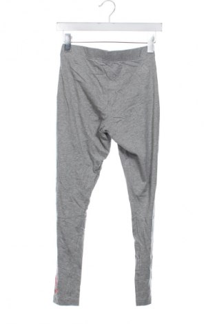 Damen Leggings Adidas, Größe XS, Farbe Grau, Preis 9,99 €