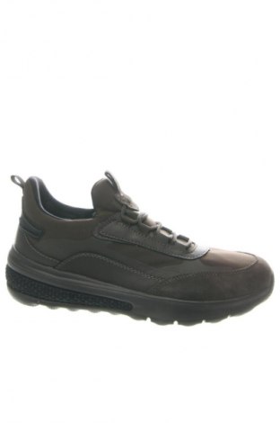 Obuwie damskie Geox, Rozmiar 40, Kolor Zielony, Cena 447,99 zł