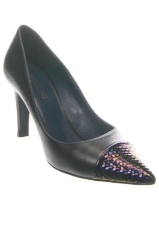 Dámske topánky  Studio Pollini, Veľkosť 37, Farba Viacfarebná, Cena  64,95 €