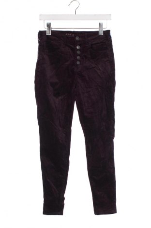 Damenhose American Eagle, Größe S, Farbe Lila, Preis € 11,99