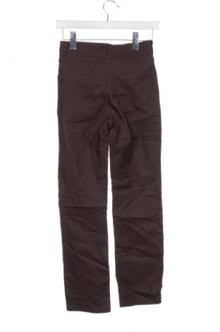 Γυναικείο παντελόνι Calzedonia, Μέγεθος S, Χρώμα Καφέ, Τιμή 26,99 €