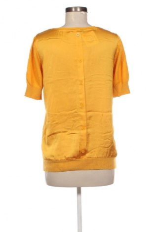 Damenpullover Jbc, Größe S, Farbe Orange, Preis 20,99 €