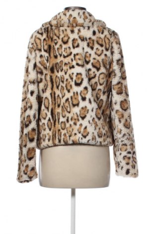 Palton de femei Hollister, Mărime M, Culoare Multicolor, Preț 252,99 Lei
