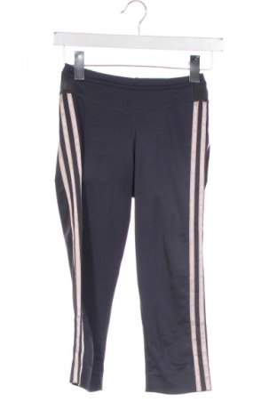 Damen Sporthose Adidas, Größe XS, Farbe Grau, Preis € 23,19