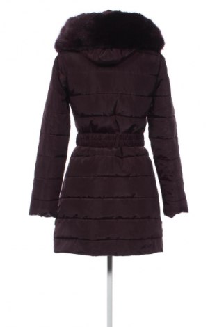 Dámska bunda  Dorothy Perkins, Veľkosť XS, Farba Fialová, Cena  38,35 €