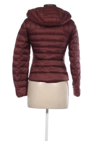 Dámska bunda  Zara, Veľkosť S, Farba Červená, Cena  18,08 €