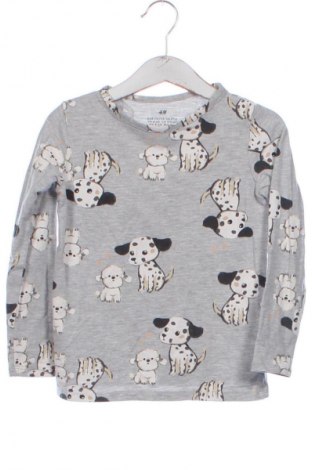 Детска блуза H&M, Размер 4-5y/ 110-116 см, Цвят Многоцветен, Цена 11,40 лв.
