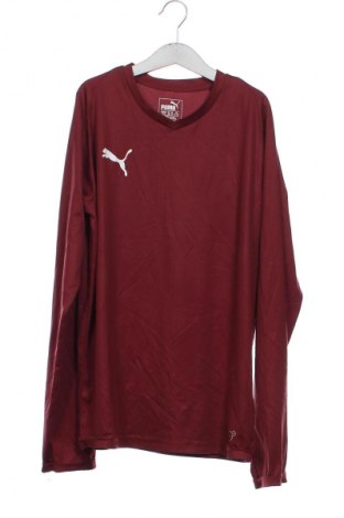 Детска блуза PUMA, Размер 13-14y/ 164-168 см, Цвят Червен, Цена 25,99 лв.