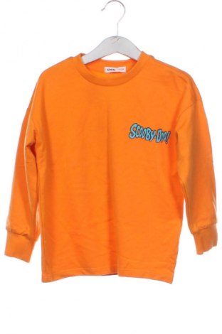 Kinder Shirt Sinsay, Größe 4-5y/ 110-116 cm, Farbe Orange, Preis € 10,69