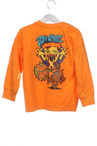 Kinder Shirt Sinsay, Größe 4-5y/ 110-116 cm, Farbe Orange, Preis € 10,69
