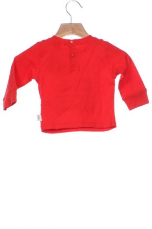 Παιδική μπλούζα Ted Baker, Μέγεθος 3-6m/ 62-68 εκ., Χρώμα Κόκκινο, Τιμή 7,94 €