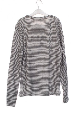 Detská blúzka  Tom Tailor, Veľkosť 15-18y/ 170-176 cm, Farba Viacfarebná, Cena  13,95 €