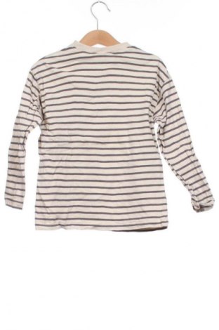 Dětská halenka  Zara, Velikost 3-4y/ 104-110 cm, Barva Vícebarevné, Cena  177,00 Kč