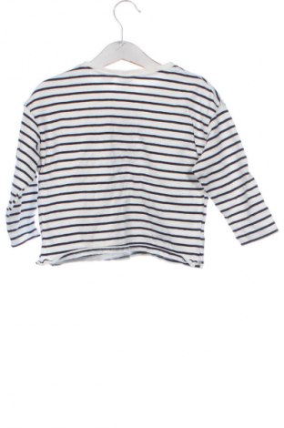 Παιδική μπλούζα Zara, Μέγεθος 18-24m/ 86-98 εκ., Χρώμα Πολύχρωμο, Τιμή 7,16 €