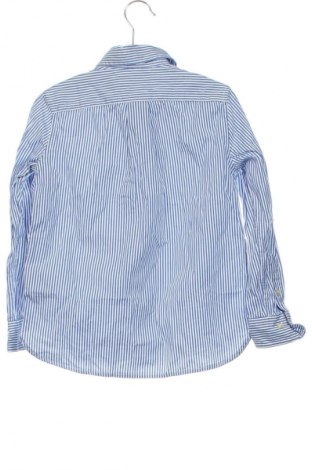 Детска риза Polo, Размер 4-5y/ 110-116 см, Цвят Многоцветен, Цена 55,99 лв.
