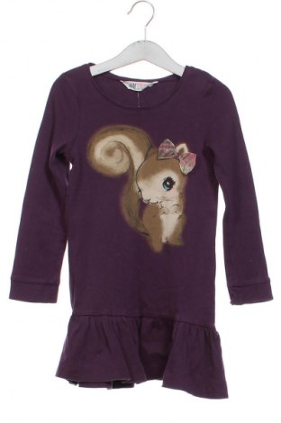 Detské šaty  H&M, Veľkosť 4-5y/ 110-116 cm, Farba Fialová, Cena  12,24 €