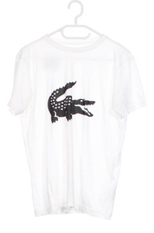Dziecięcy T-shirt Lacoste, Rozmiar 15-18y/ 170-176 cm, Kolor Biały, Cena 89,99 zł