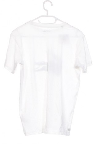 Dziecięcy T-shirt Lacoste, Rozmiar 15-18y/ 170-176 cm, Kolor Biały, Cena 89,99 zł