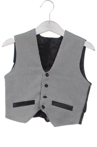Παιδικό γιλέκο Unbranded, Μέγεθος 2-3y/ 98-104 εκ., Χρώμα Πολύχρωμο, Τιμή 10,68 €