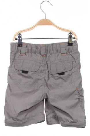 Παιδικό κοντό παντελόνι Crane, Μέγεθος 5-6y/ 116-122 εκ., Χρώμα Γκρί, Τιμή 7,12 €
