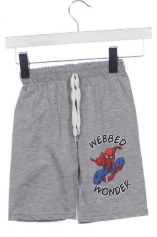 Kinder Shorts Unbranded, Größe 4-5y/ 110-116 cm, Farbe Grau, Preis € 7,16