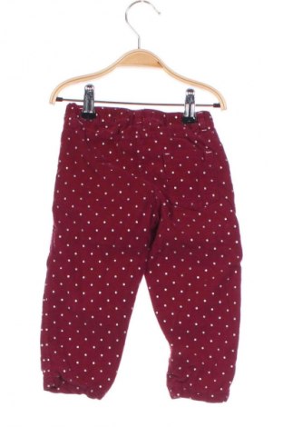 Kinderhose Ergee, Größe 9-12m/ 74-80 cm, Farbe Mehrfarbig, Preis 10,75 €