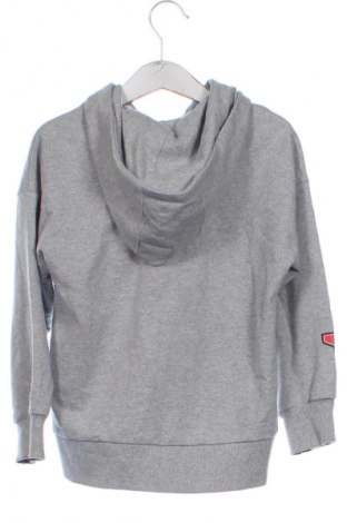 Kinder Sweatshirts Sinsay, Größe 4-5y/ 110-116 cm, Farbe Grau, Preis € 21,38
