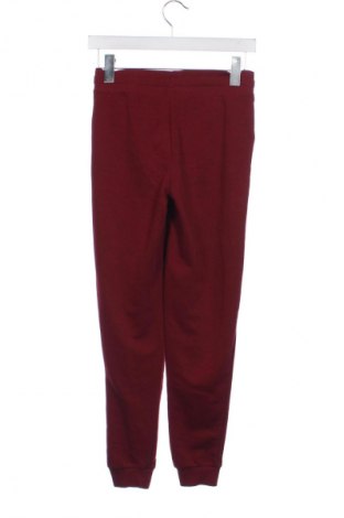 Dziecięce spodnie sportowe Harry Potter, Rozmiar 10-11y/ 146-152 cm, Kolor Czerwony, Cena 62,92 zł