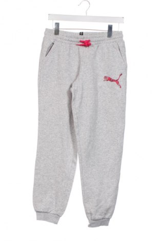 Detské tepláky PUMA, Veľkosť 15-18y/ 170-176 cm, Farba Sivá, Cena  46,65 €