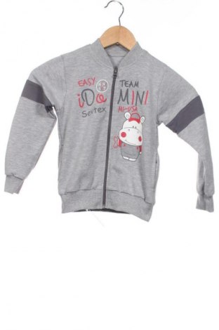 Παιδικό αθλητικό πάνω φόρμα Unbranded, Μέγεθος 3-4y/ 104-110 εκ., Χρώμα Γκρί, Τιμή 14,83 €