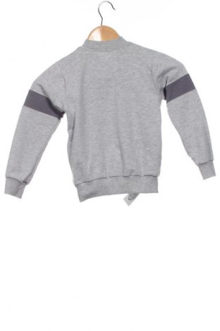 Παιδικό αθλητικό πάνω φόρμα Unbranded, Μέγεθος 3-4y/ 104-110 εκ., Χρώμα Γκρί, Τιμή 14,83 €